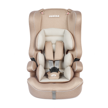 Автокресло Junion Dino 1/2/3 (9-36 кг)
