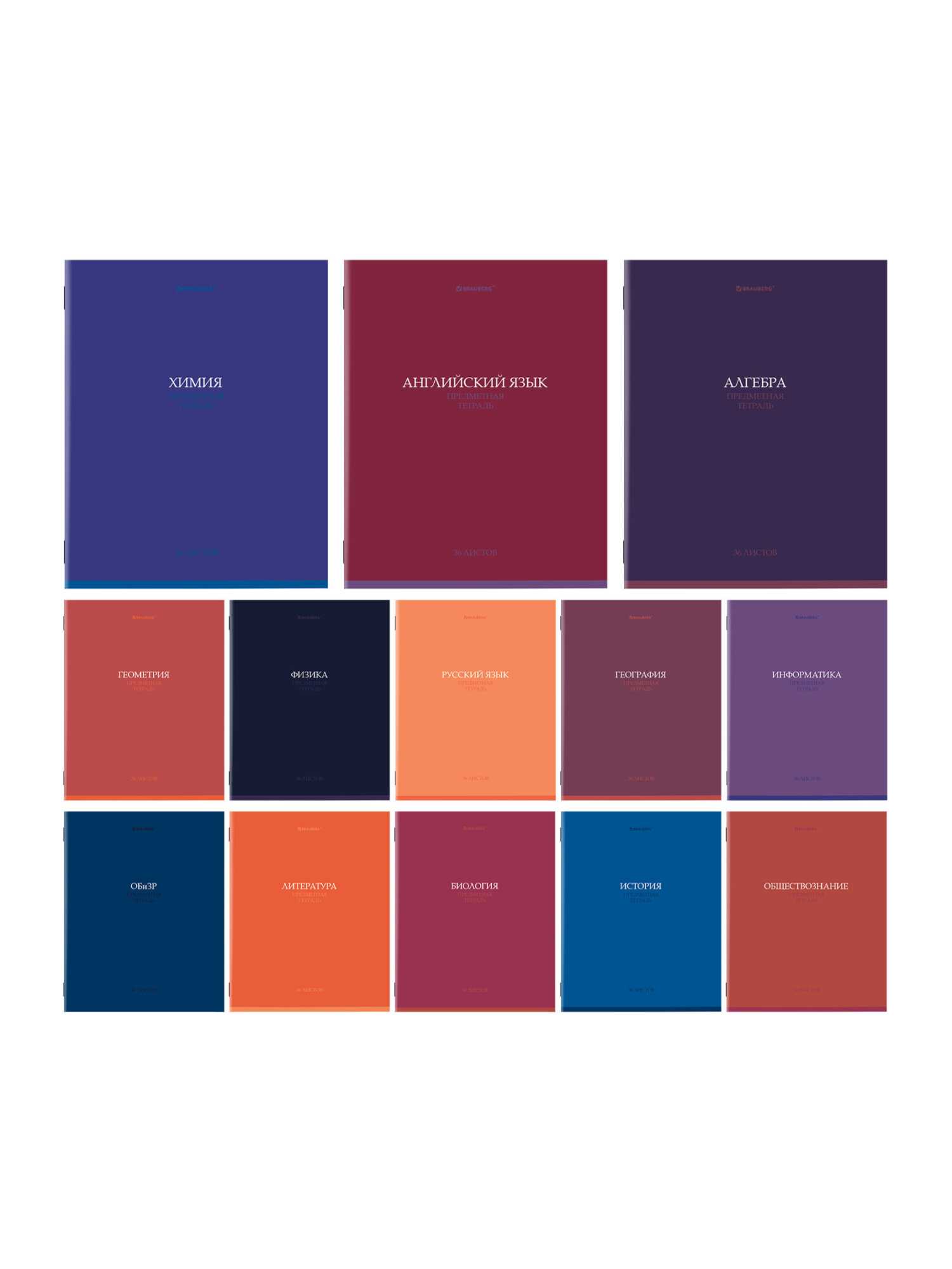Тетрадь Brauberg 36 лист. 13 шт. - фото 5