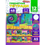 Тетрадь Prof-Press 48 лист.