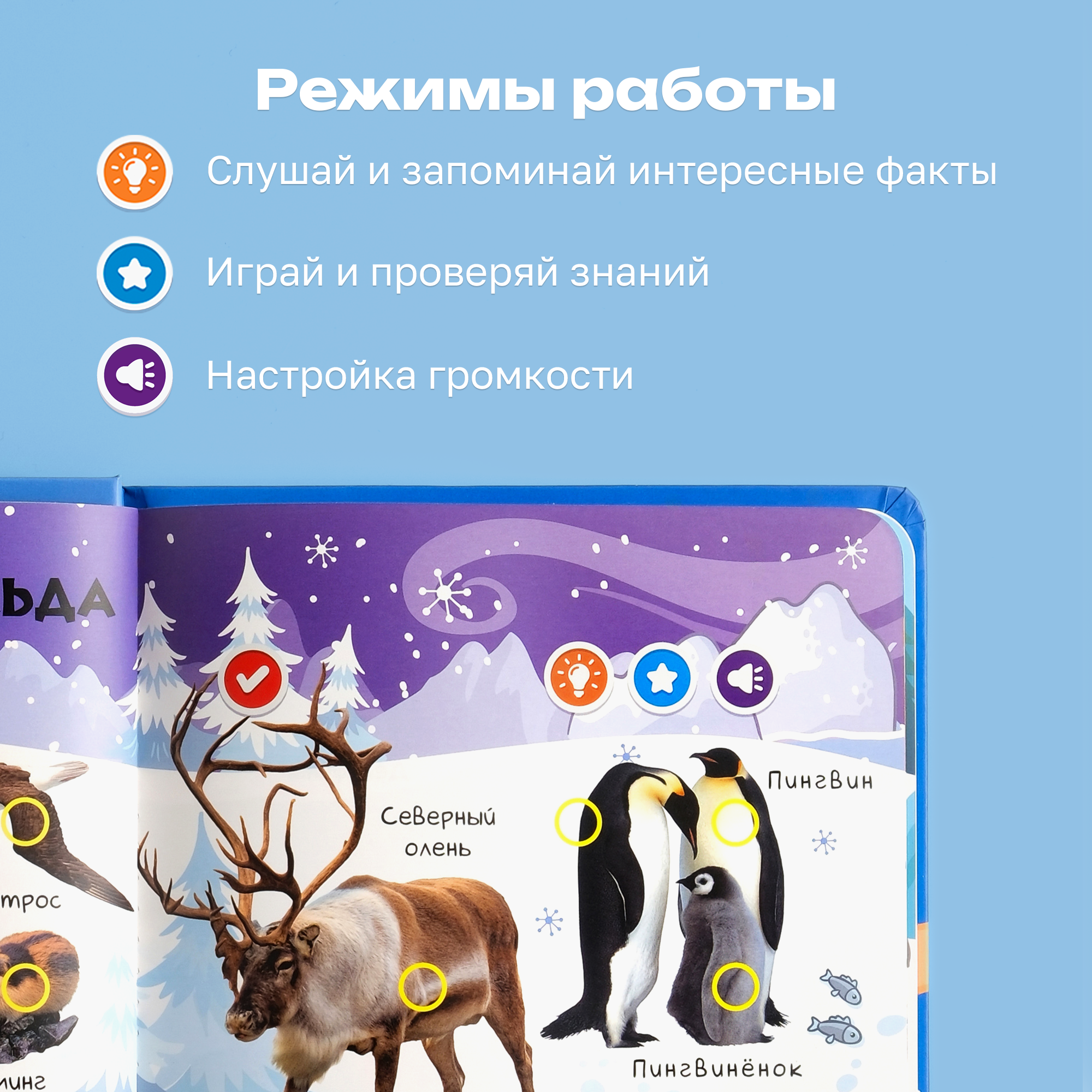 Комплект говорящих книжек BertToys Нажималки: Животные + Я и Мир Вокруг - фото 6