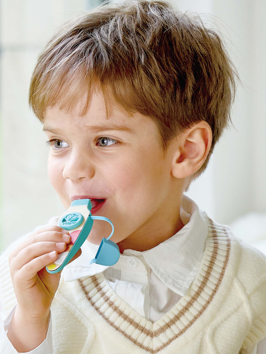 Игрушка музыкальная Hape саксофон, флейта, губная гармошка - фото 8