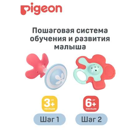 Прорезыватель Pigeon