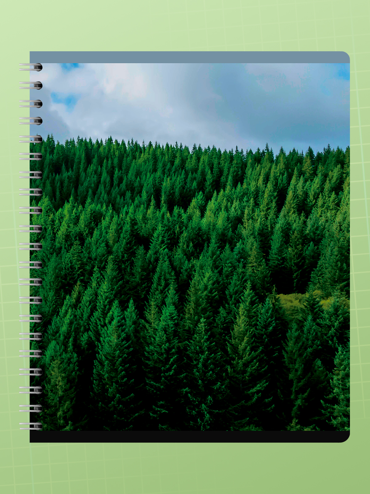 Тетрадь AXLER клетка 96 лист. 4 шт. - фото 6