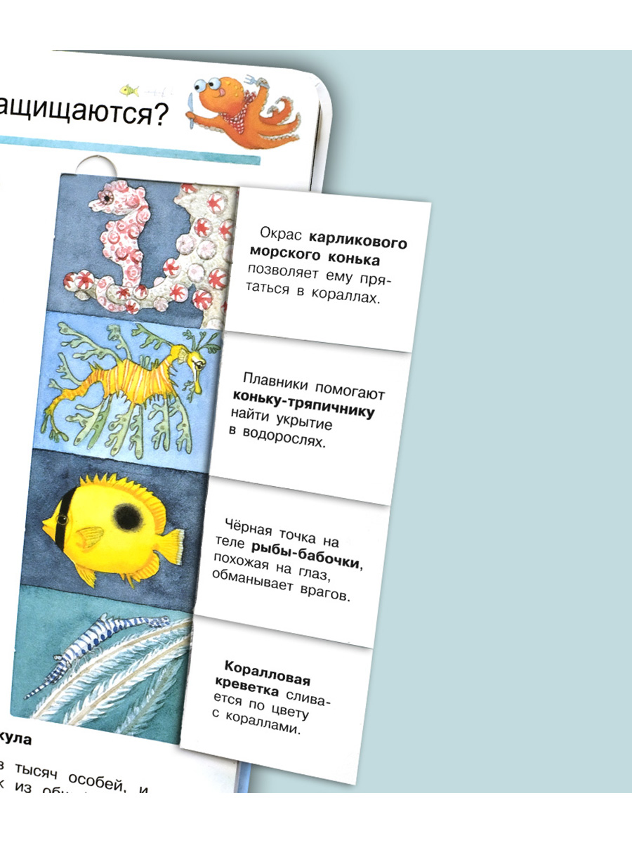 Книга Омега-Пресс Энциклопедия для детей с окошками Мир морских животных - фото 10