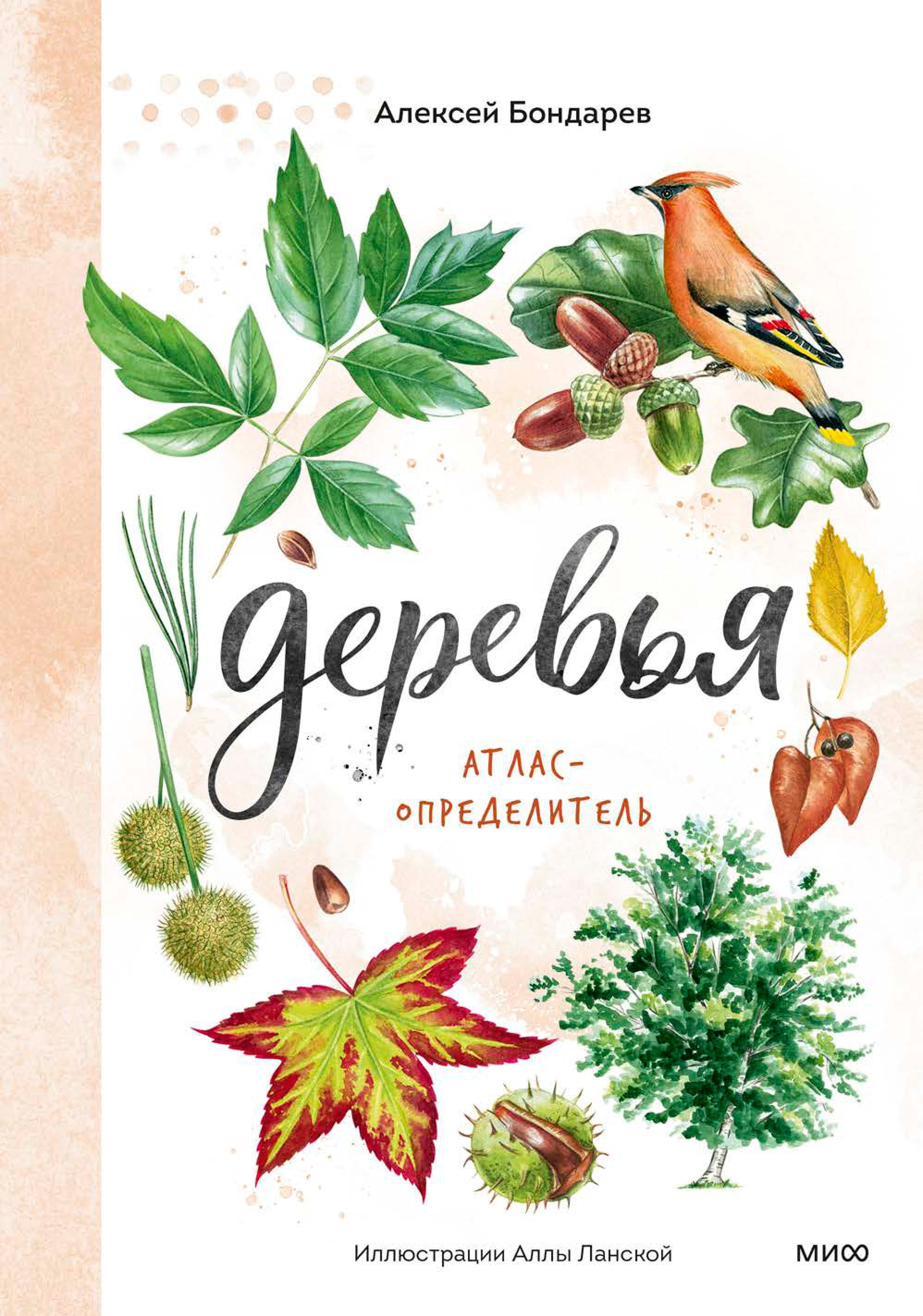 Книга МИФ Деревья. Атлас-определитель - фото 1