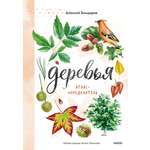 Книга МИФ Деревья. Атлас-определитель