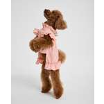 Изображение товара Платье для собак и кошек Зоозавр: M