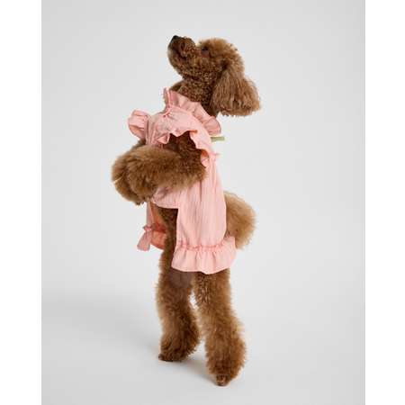 Платье для собак и кошек Зоозавр