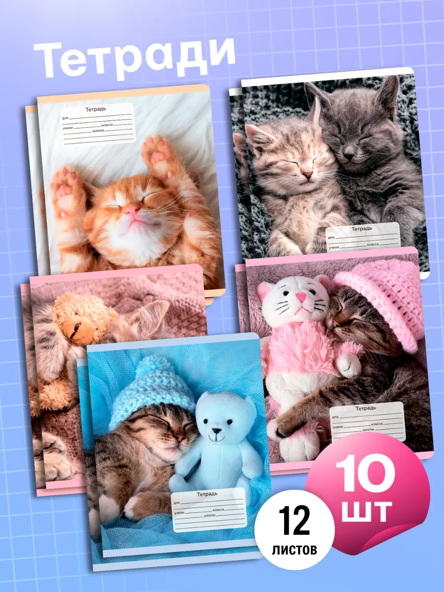 Тетрадь AXLER клетка 12 лист. 10 шт. - фото 1