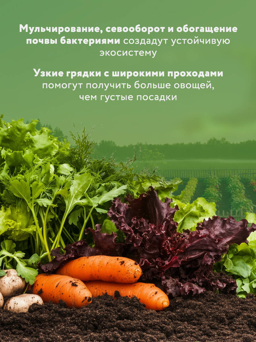 Книга БОМБОРА Секреты дачных агрономов. Как перестать "пахать" - фото 3