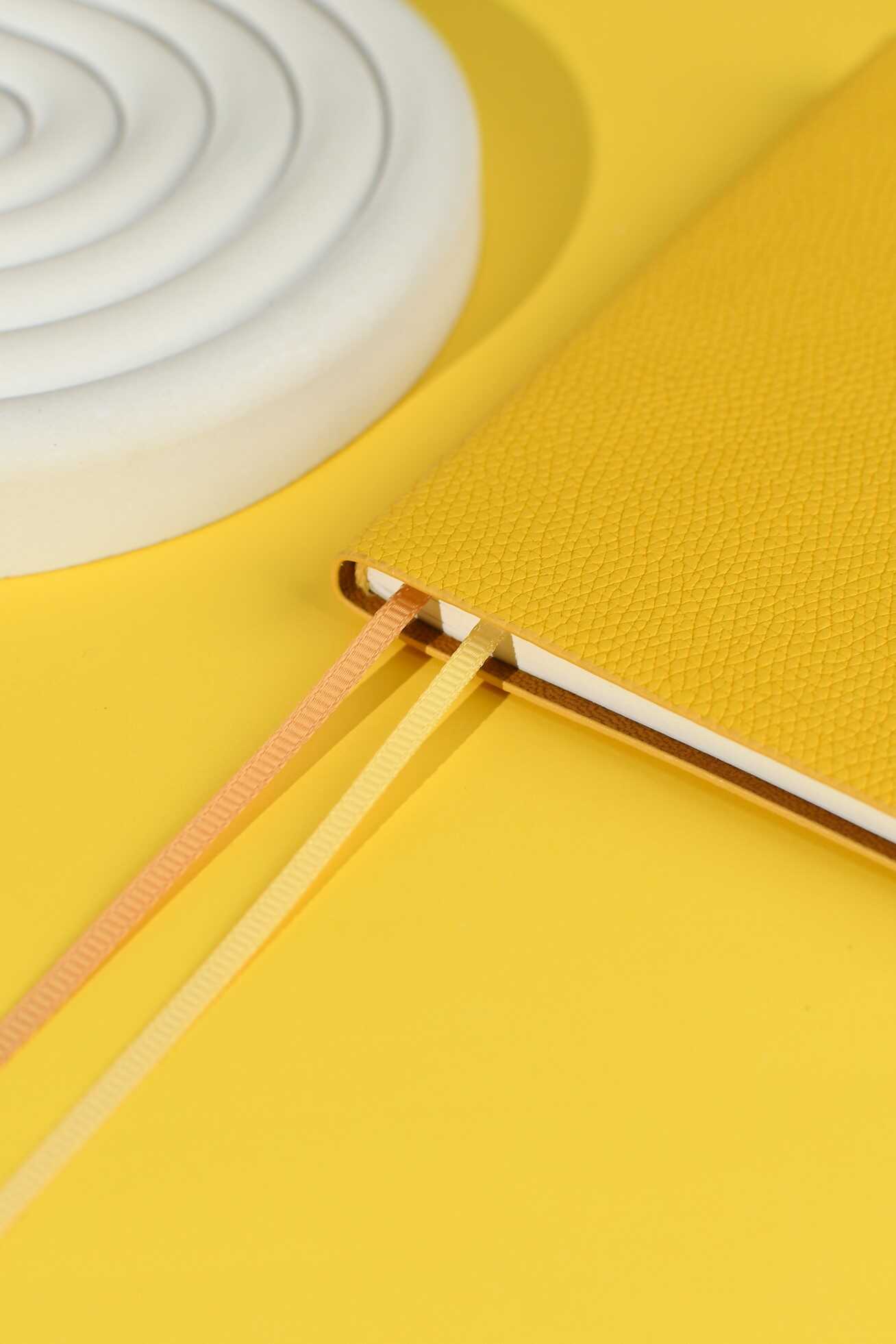 Ежедневник Феникс + ESCALADA 64 лист. - фото 8