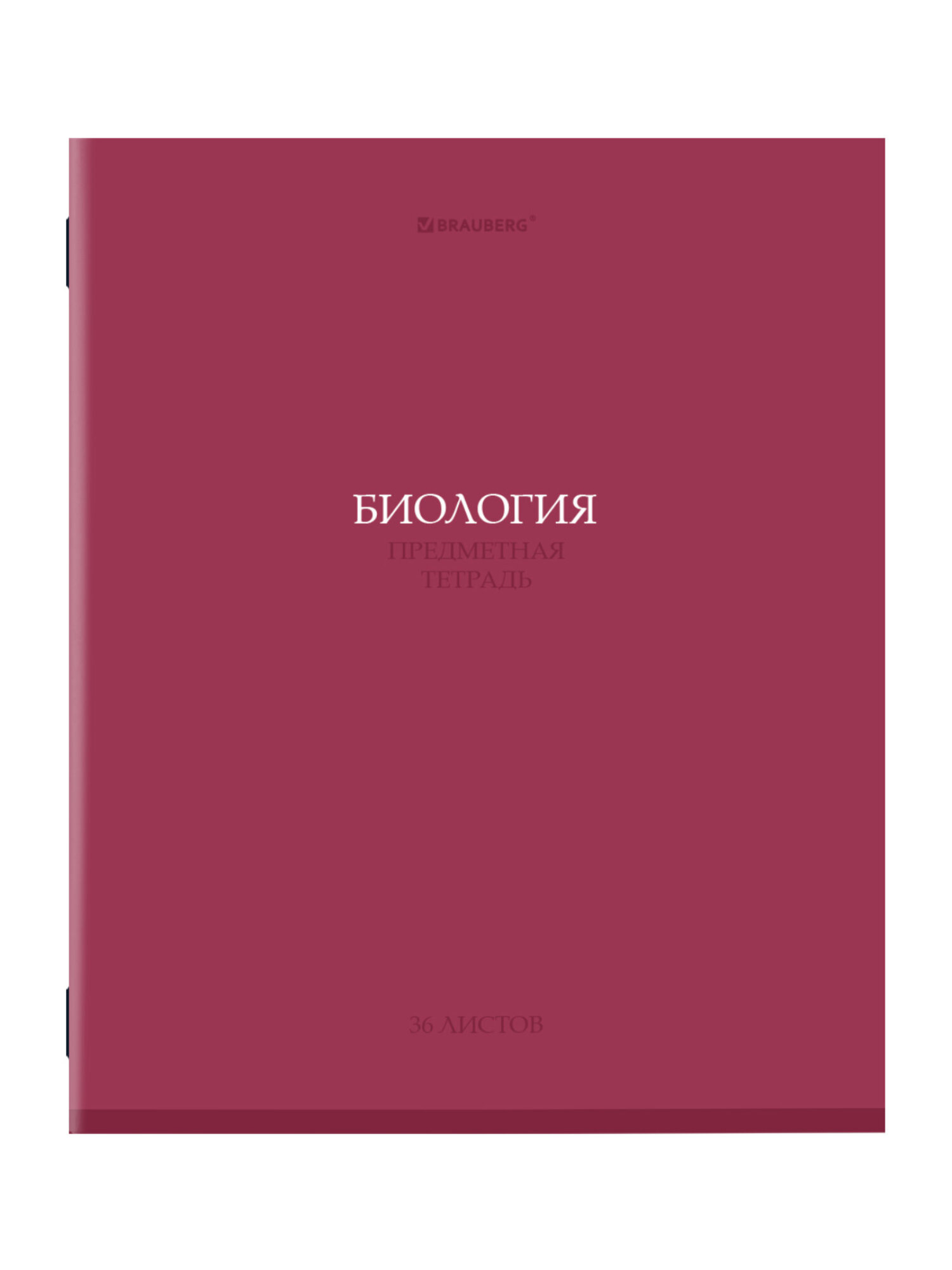 Тетрадь Brauberg 36 лист. 13 шт. - фото 14