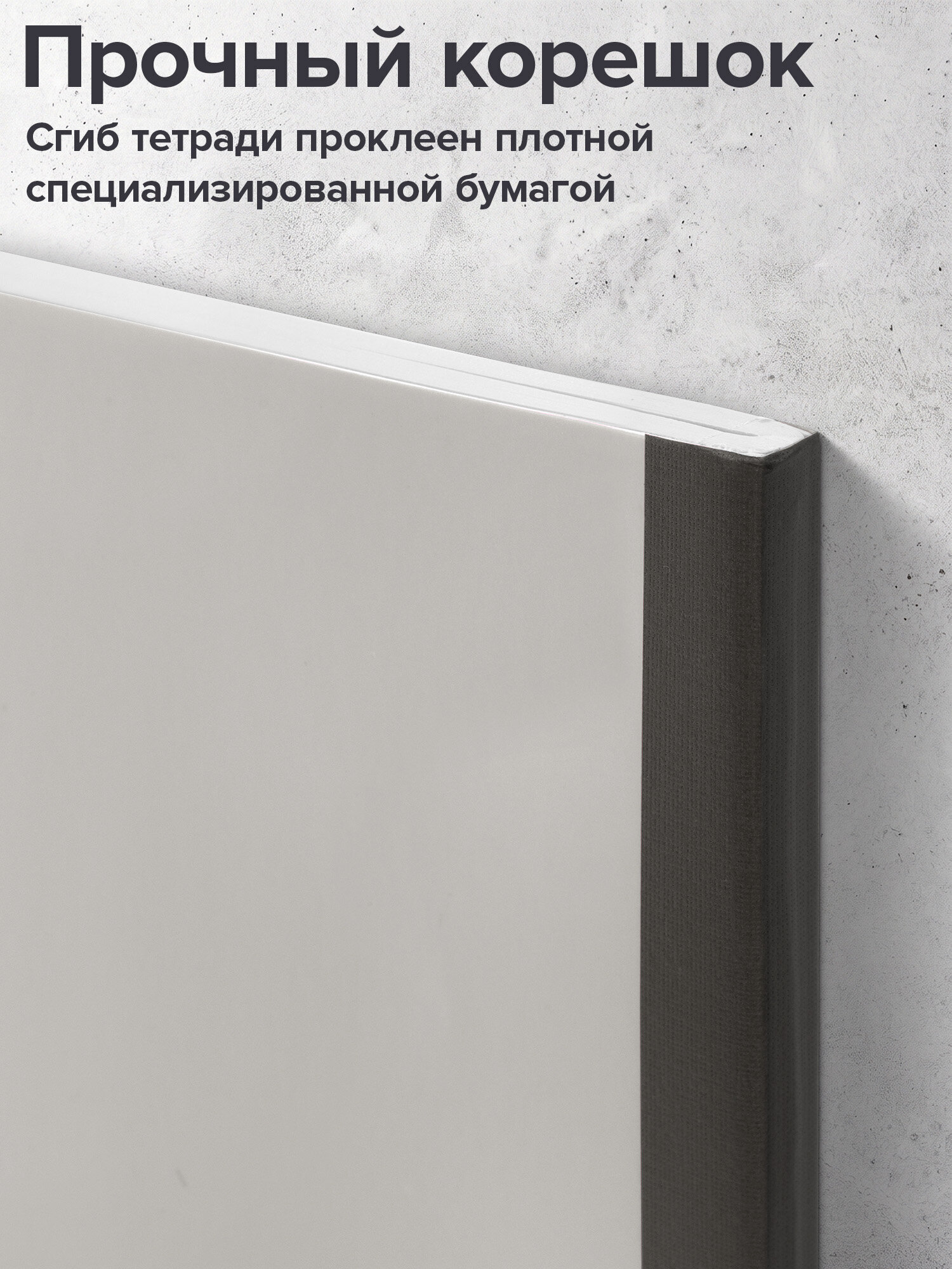 Тетрадь Brauberg клетка 96 лист. 2 шт. - фото 4