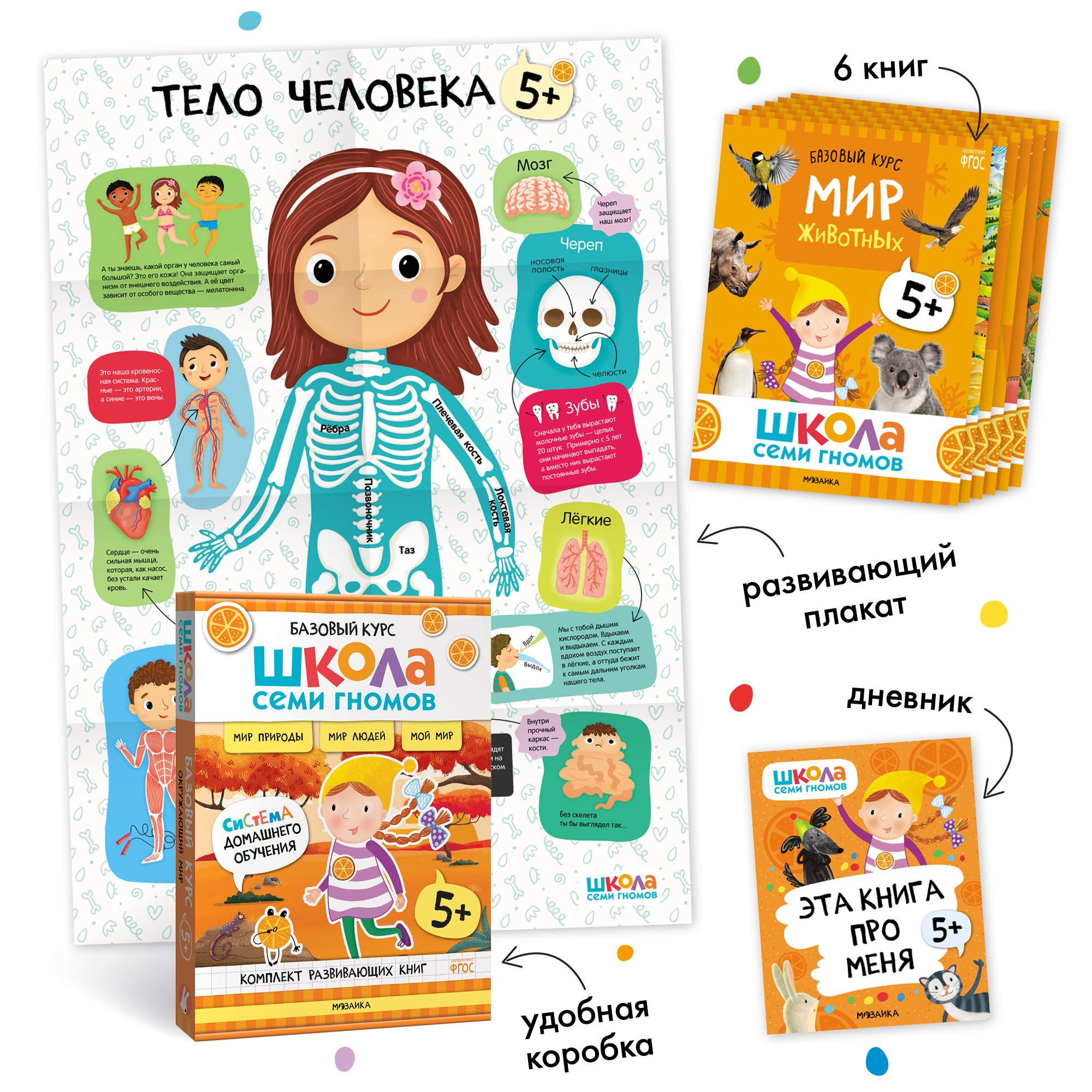 Комплект Школа Семи Гномов Базовый курс 5+ ( 12 книг) речь, мышление, моторика, окружающий мир - фото 6