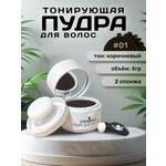 Тонирующая пудра GREENAURUM коричневая, 2 спонжа