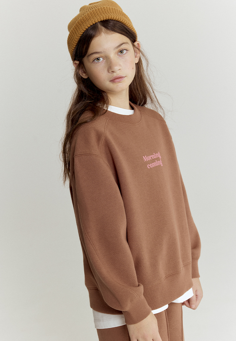 Свитшот artie W25K02T-1333D/Коричневый - фото 5