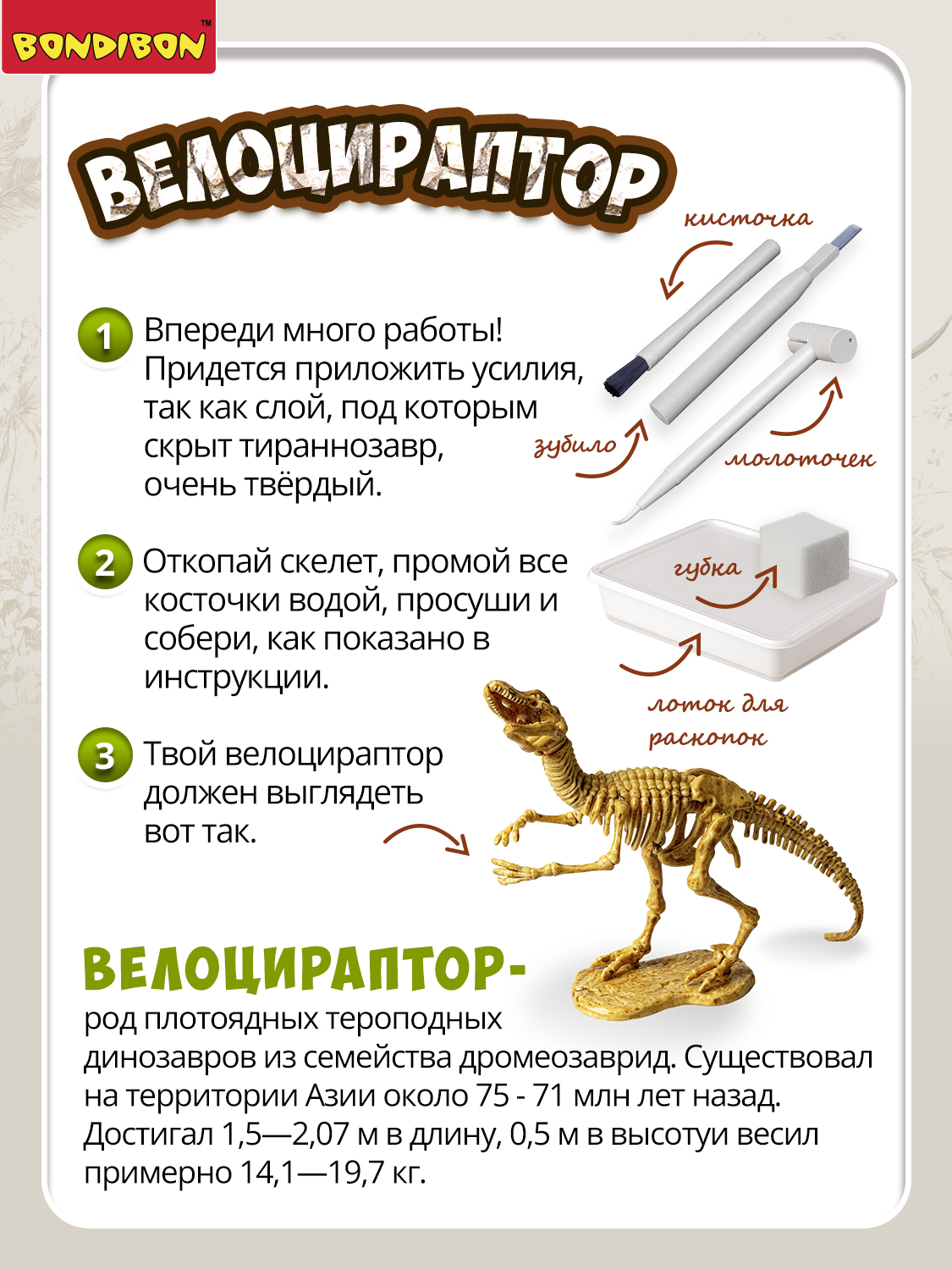 Набор для раскопок Bondibon Динозавр Велоцираптор скелет - фото 10