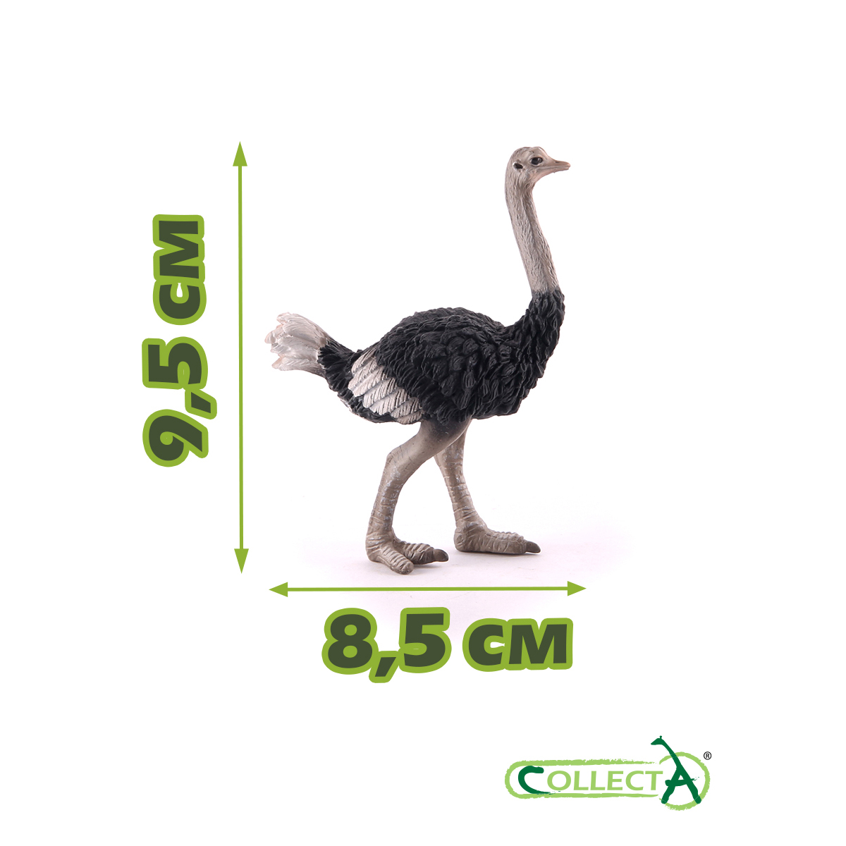 Фигурка Collecta Страус - фото 2