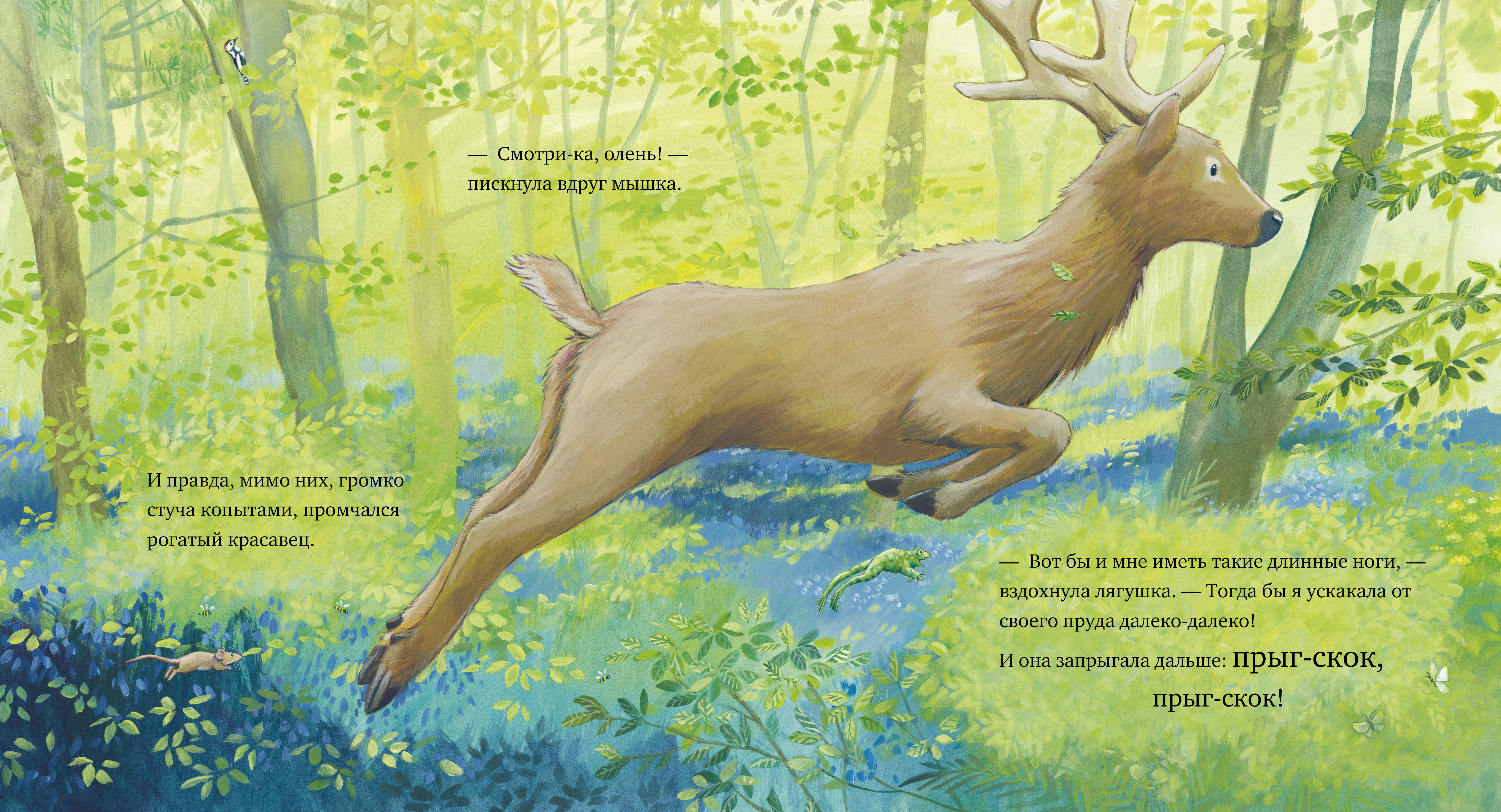 Книжки-картинки Clever Каждый из нас чудо! - фото 4