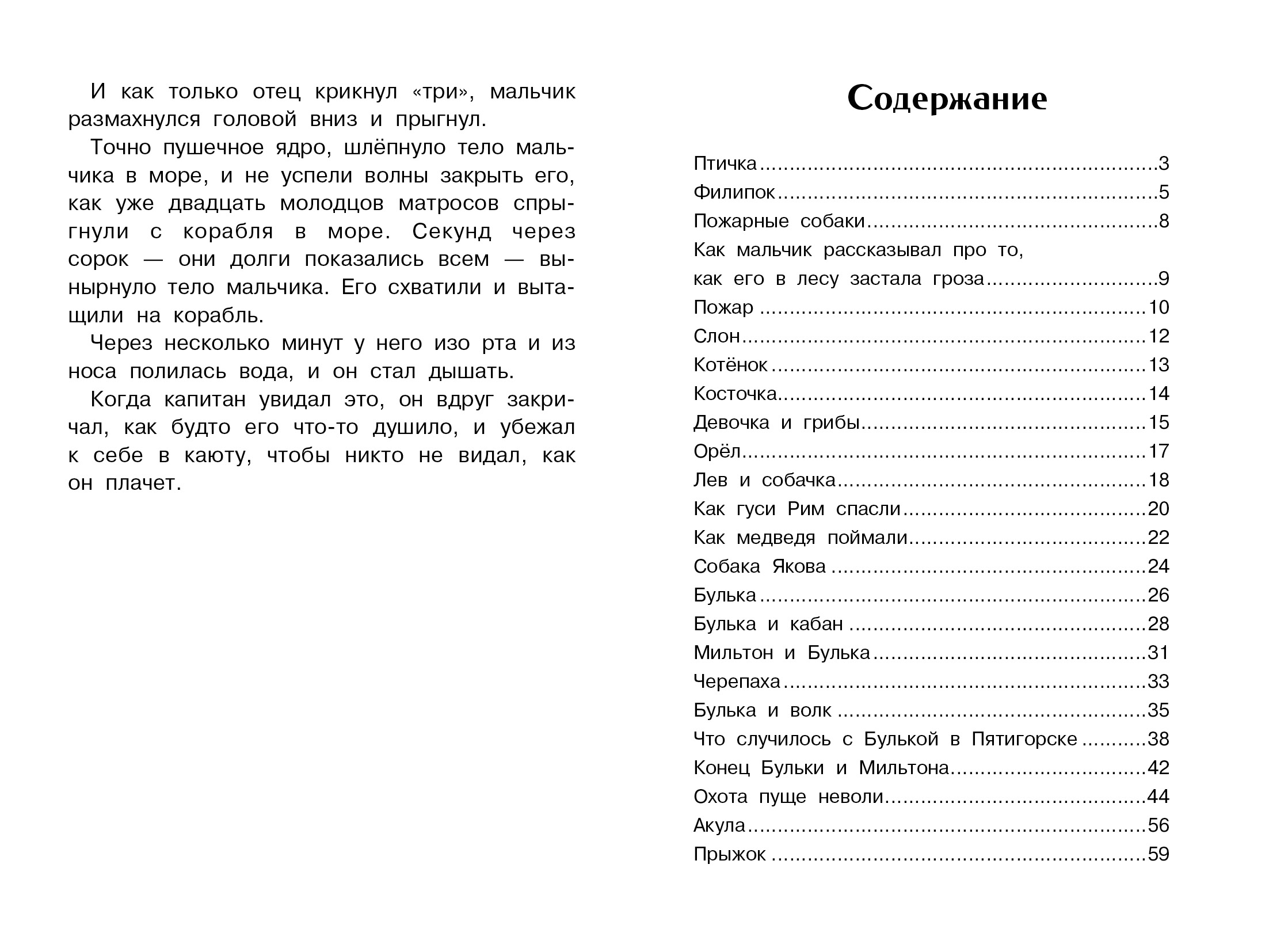 Книга СТРЕКОЗА Внеклассное чтение - фото 5