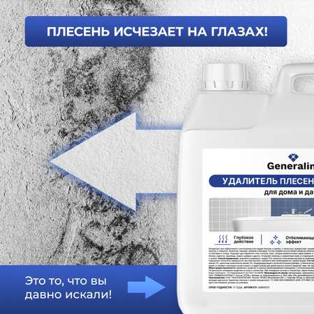 Спрей от плесени и грибка Generalim концентрат 3 л