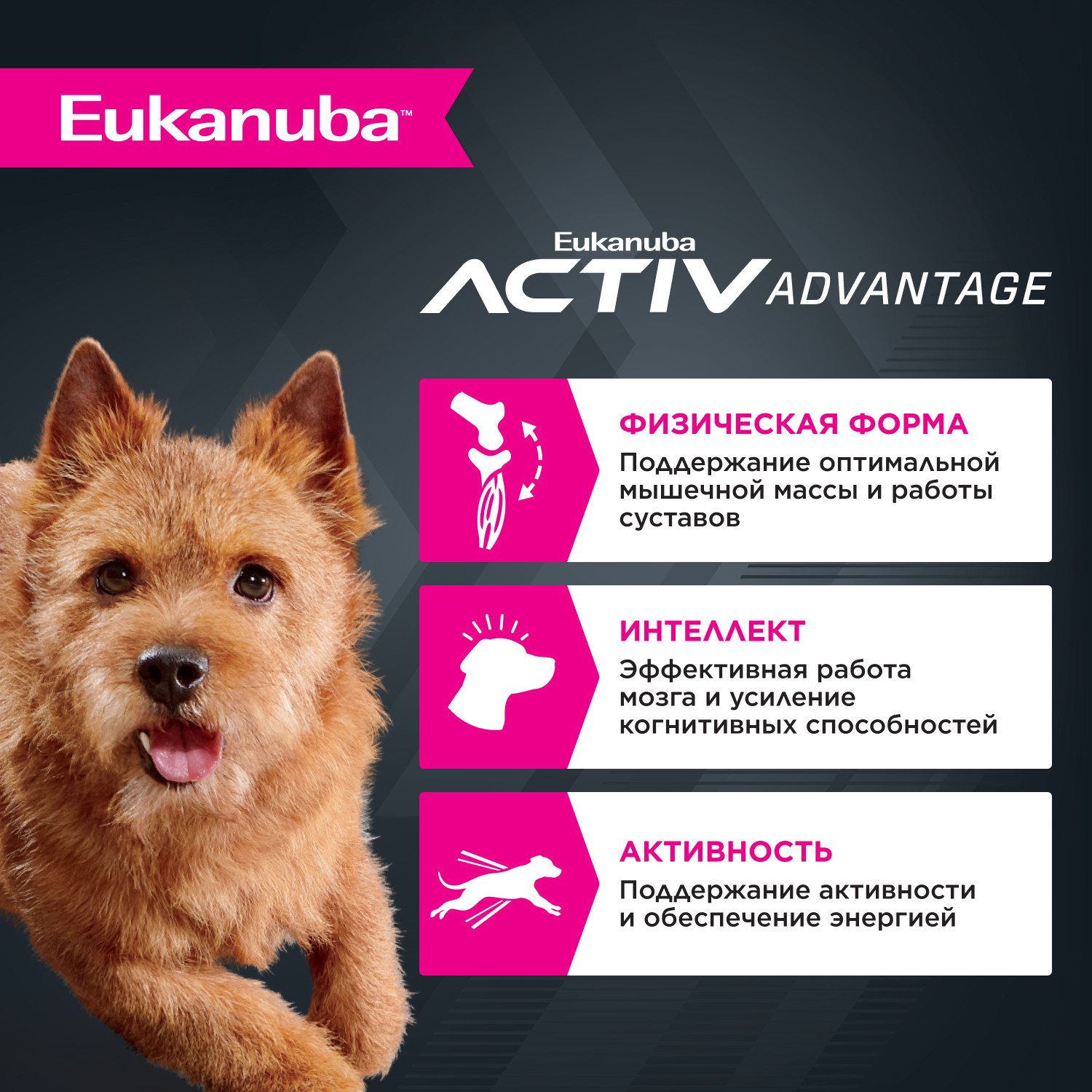 Корм Eukanuba Dog 3кг для взрослых собак мелких пород сухой - фото 2