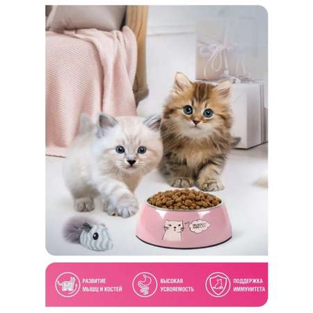 Корм сухой Зоогурман Полнорационный сухой корм для котят Kitten Индейка 0.6 кг