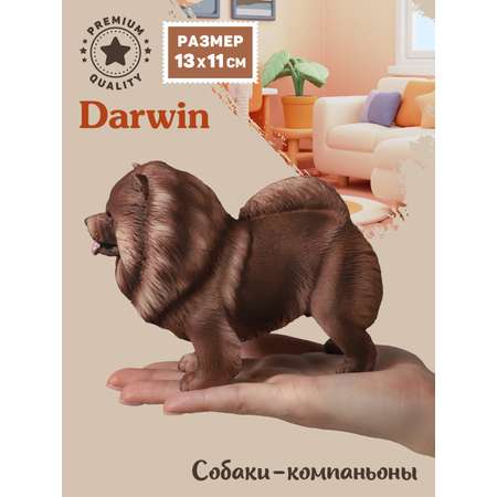 Фигурка DARWIN Собака Чау-чау