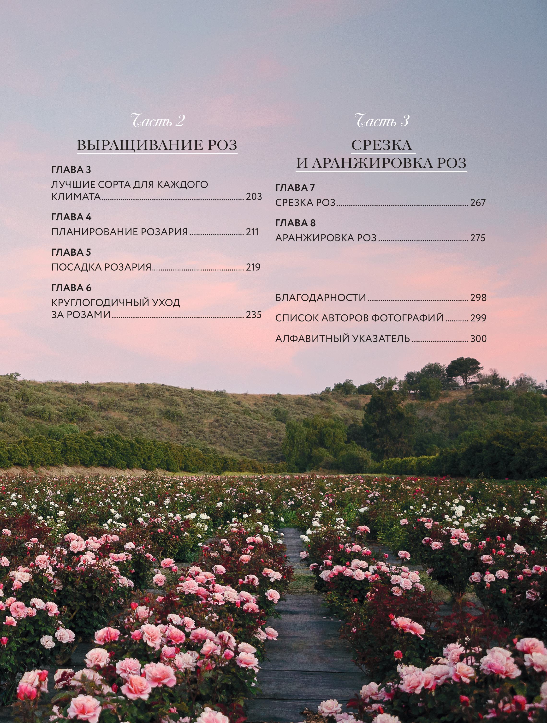 Книга БОМБОРА Садовые розы. Полное руководство по выращиванию - фото 3