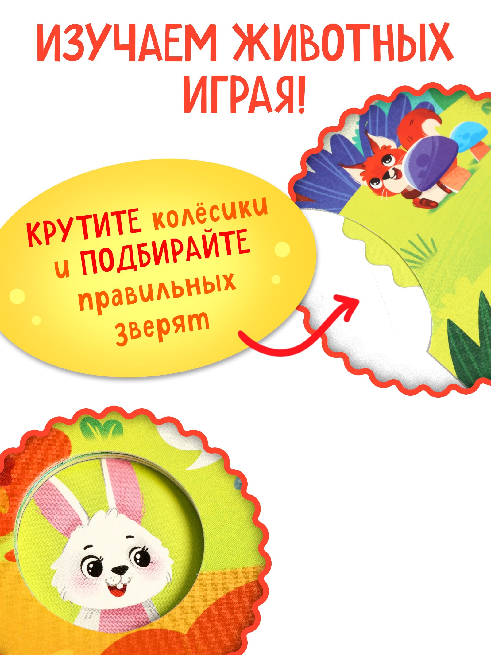 Книга Буква-ленд картонная с колёсиком Кто в лесу 12 стр - фото 4