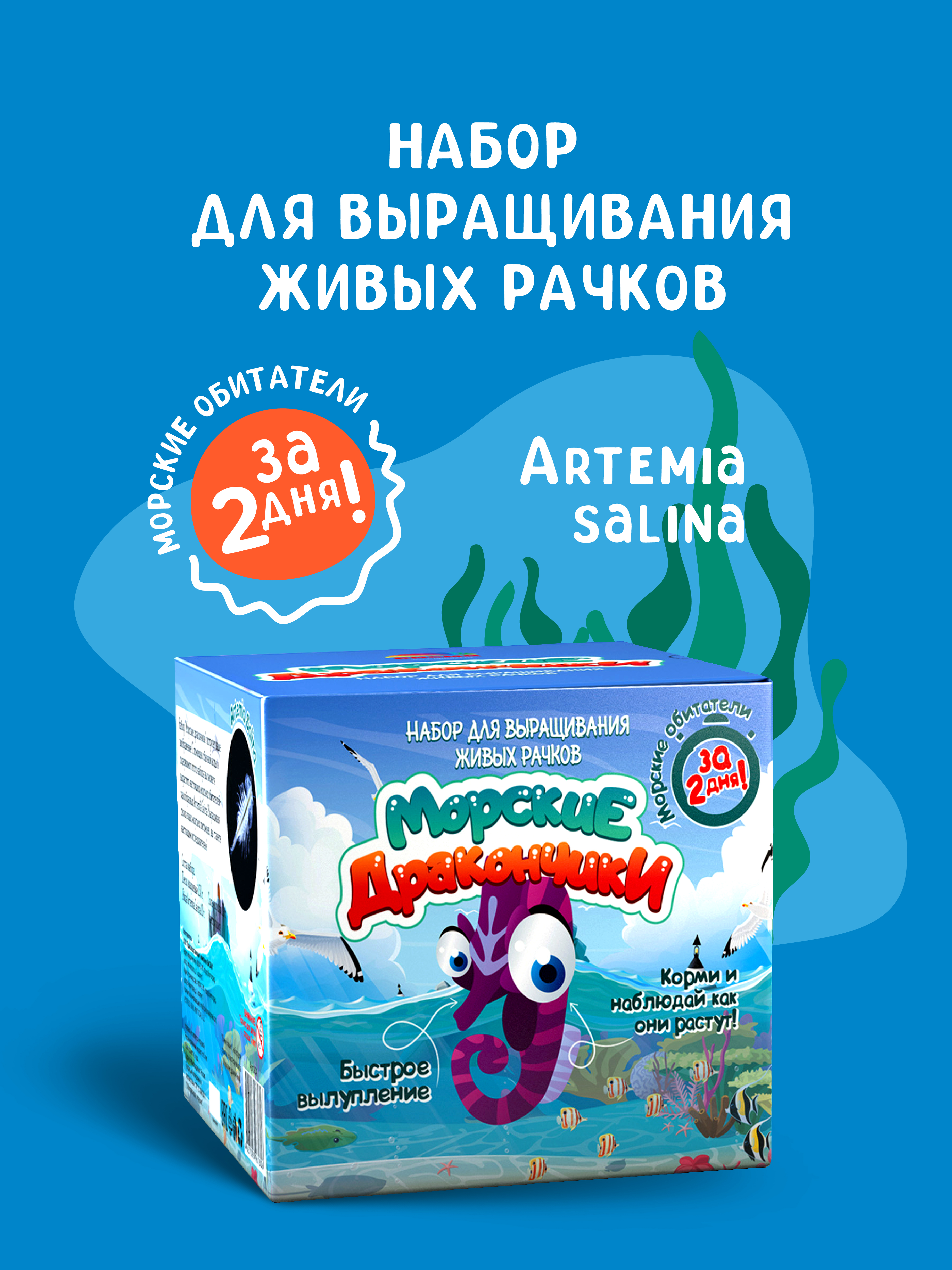 Набор для выращивания ВИСМА Вырасти Морские Дракончики - фото 1