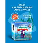 Набор для выращивания ВИСМА Вырасти Морские Дракончики