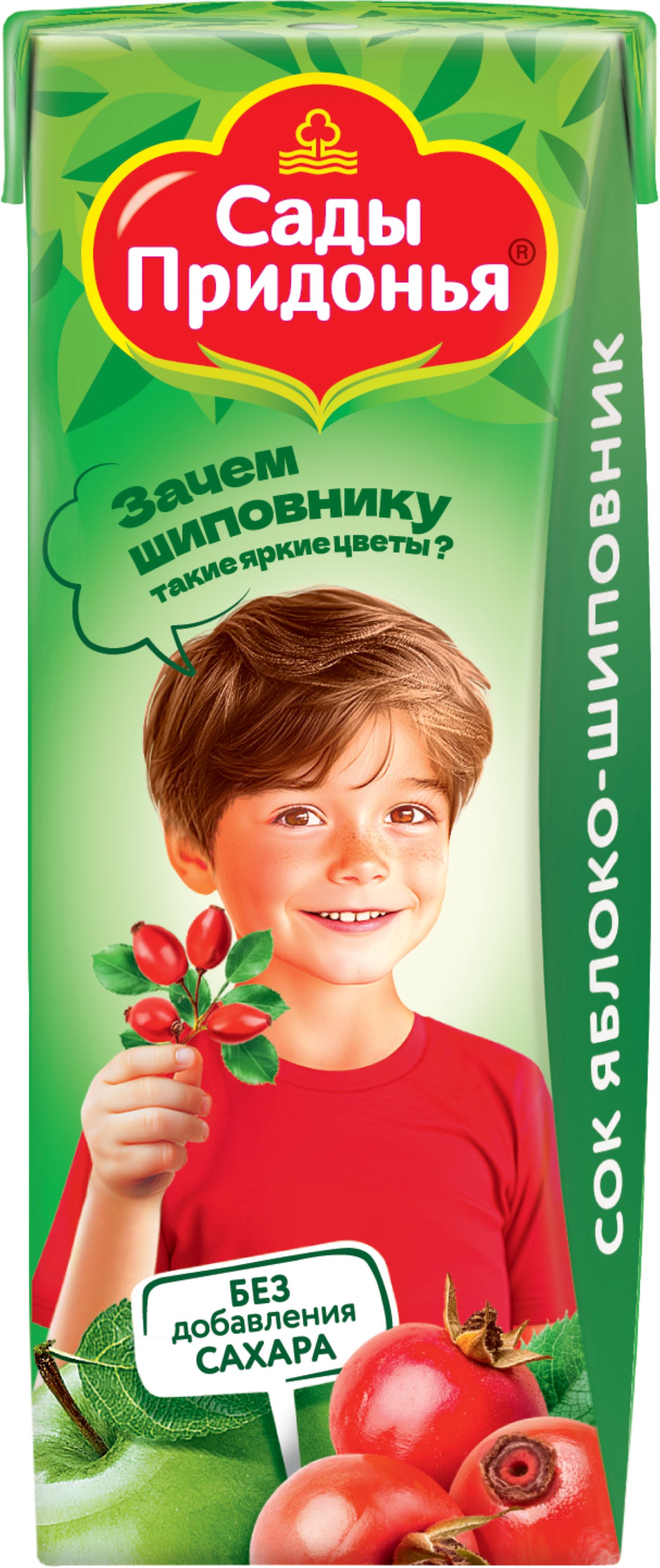 Сок Сады Придонья Яблоко-Шиповник с 6 мес 0.2 л - фото 1