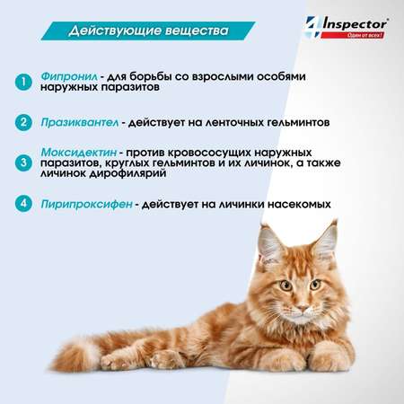 Капли для кошек Inspector Quadro 4-8кг от наружных и внутренних паразитов 0.8мл