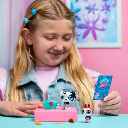 Игровой набор Littlest Pet Shop