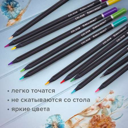 Карандаши цветные Brauberg 24 шт.