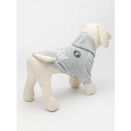 Толстовка для собак PIFPAF DOG
