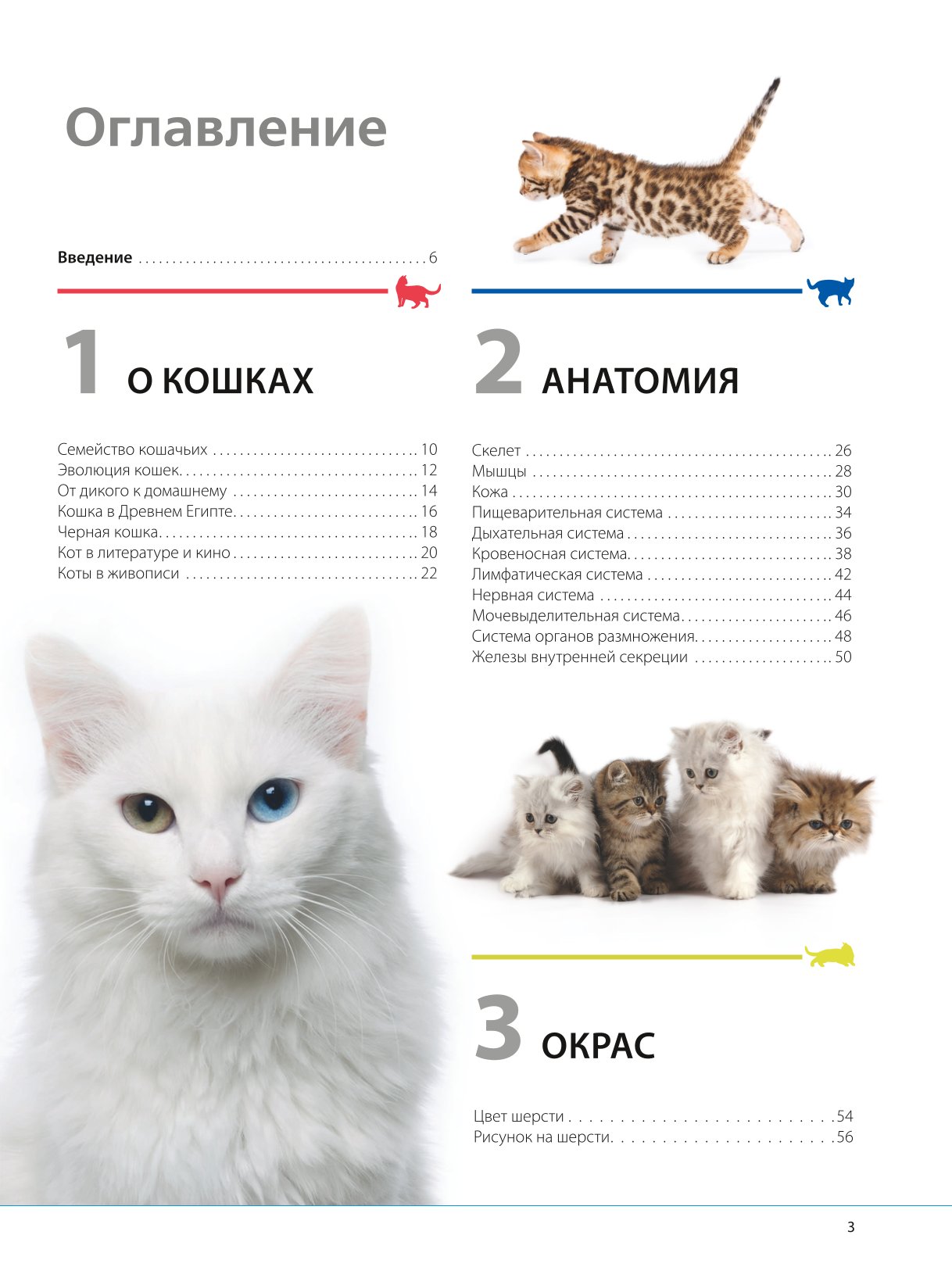 Книга ЭКСМО-ПРЕСС Кошки Самая полная иллюстрированная энциклопедия - фото 2