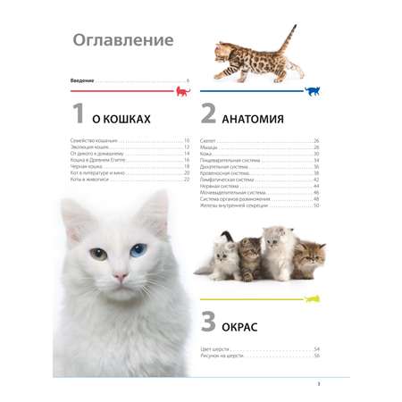 Книга ЭКСМО-ПРЕСС Кошки Самая полная иллюстрированная энциклопедия