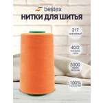 Нитки для шитья 40/2 Bestex 5000 ярдов 1 шт цв 217