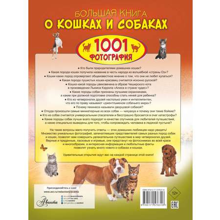 Книга АСТ Большая книга о кошках и собаках 1001 фотография