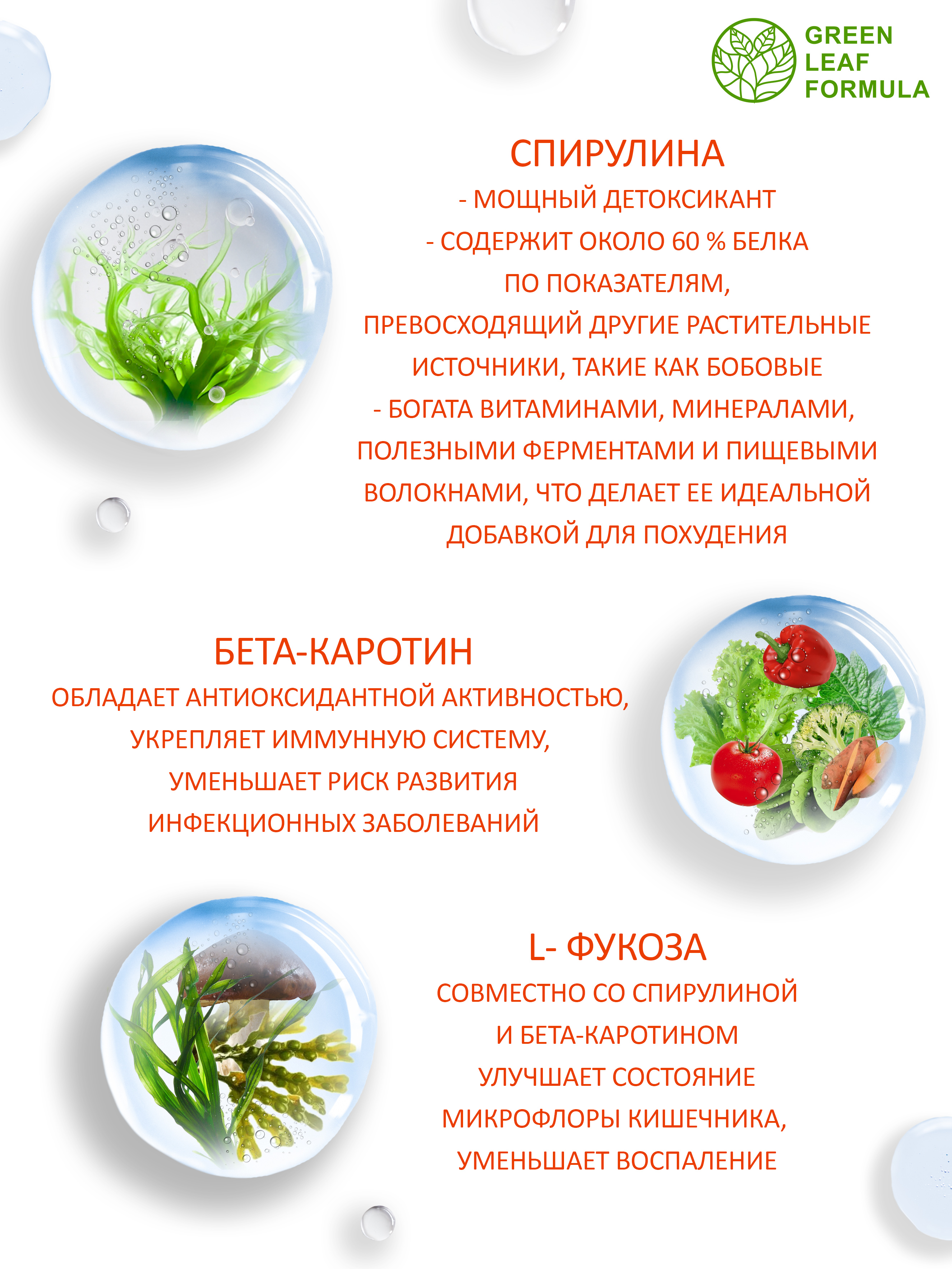 Набор для детокса и очищения Green Leaf Formula метабиотик спирулина ферменты для кишечника - фото 14