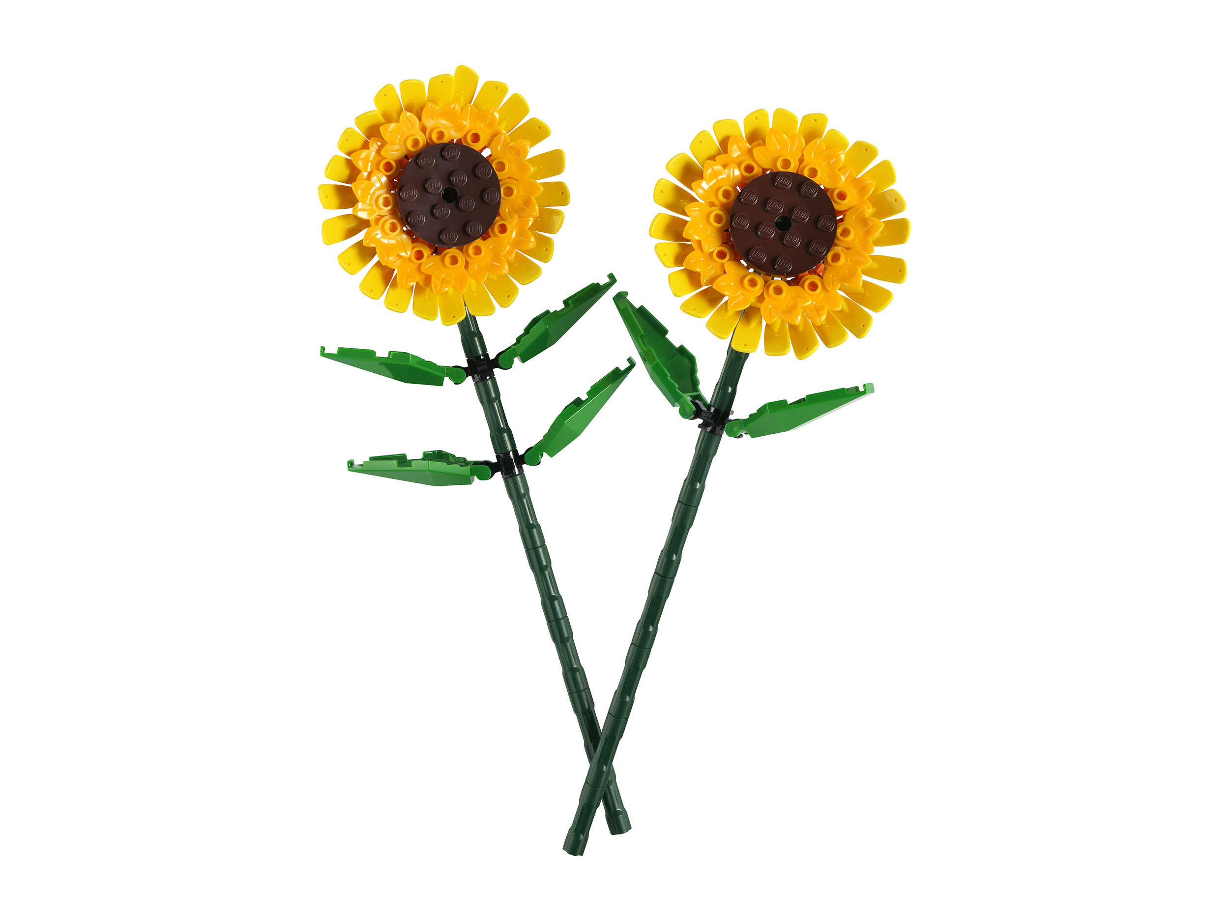 Конструктор LEGO Botanicals Сувенирный набор 191 дет. - фото 1