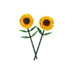 Конструктор LEGO Botanicals Сувенирный набор 191 дет.