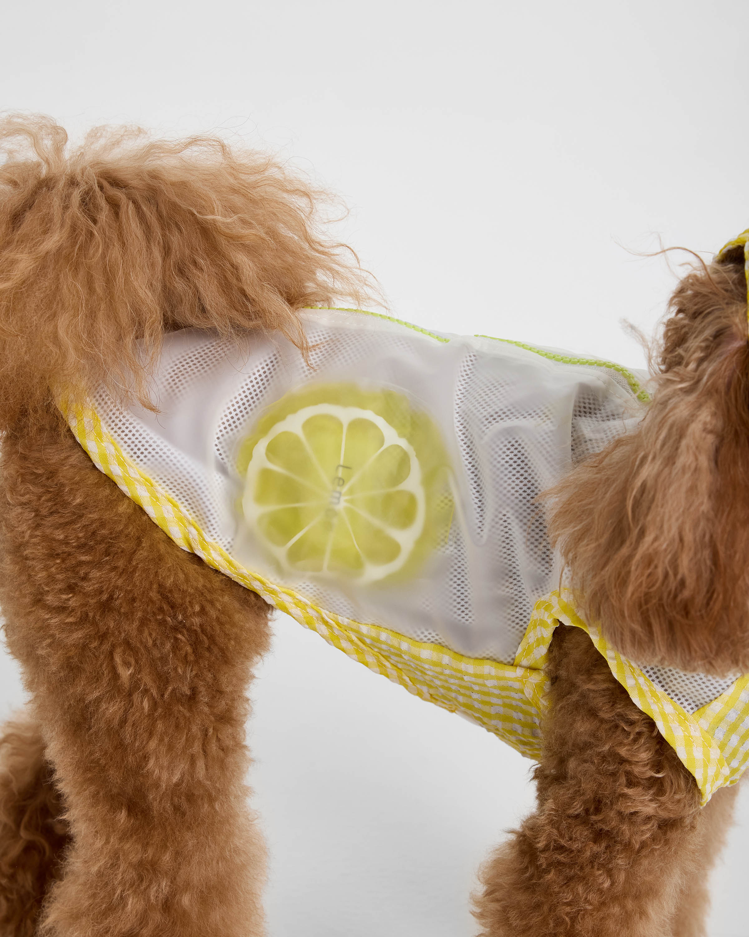 Костюм для собак и кошек Зоозавр - фото 3