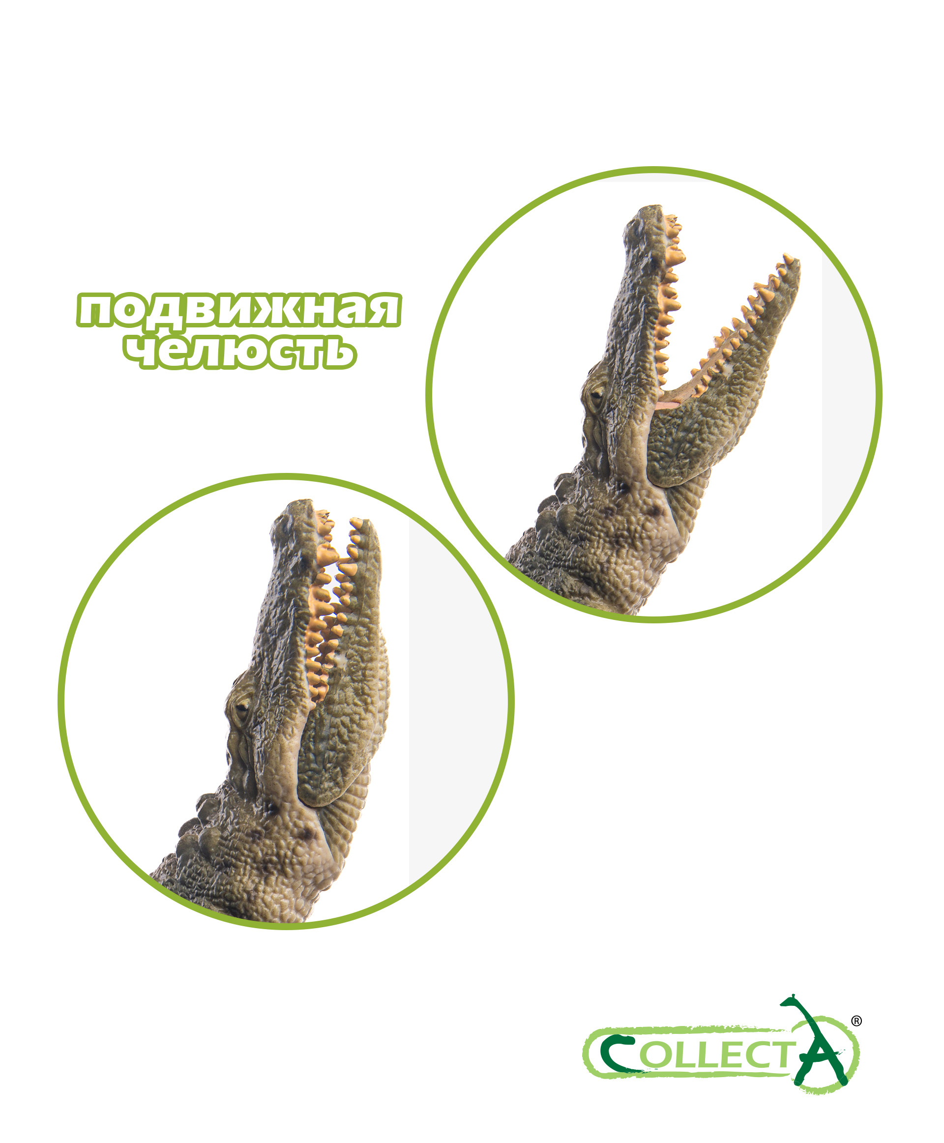 Фигурка Collecta Нильский крокодил - фото 3