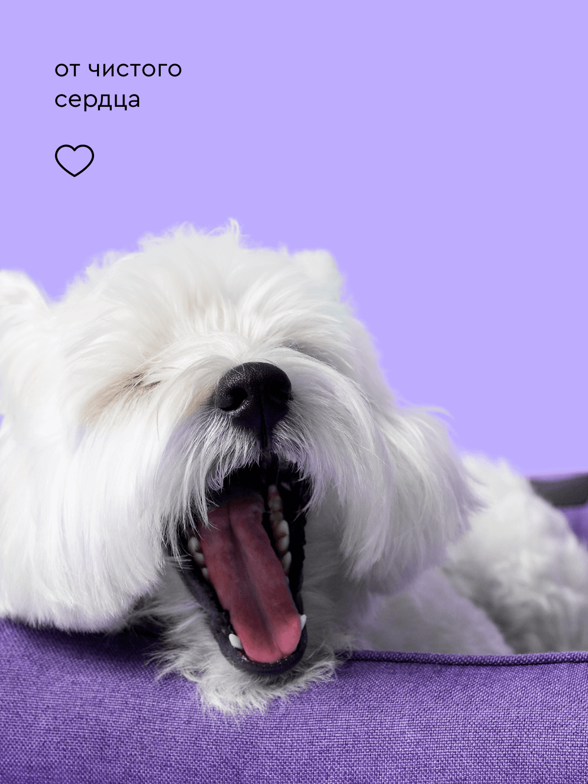 Шампунь с ароматом кокоса Pamilee домашний увлажняющий универсальный - фото 14