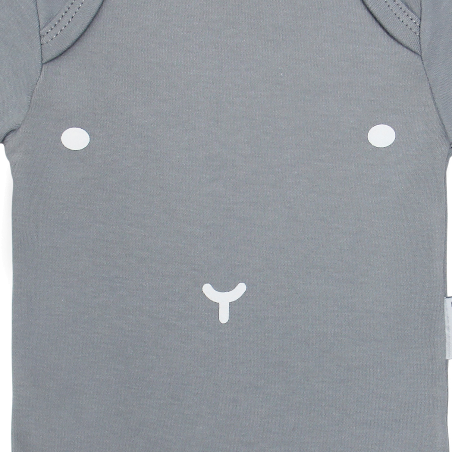 Боди 2 шт Little Fox 1LF2BAC01/05 - фото 7
