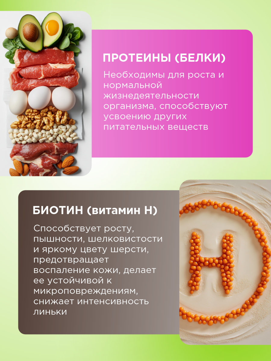 Полезное лакомство для собак GOODR DOG Здоровье кожи и шерсти 90 таблеток - фото 5