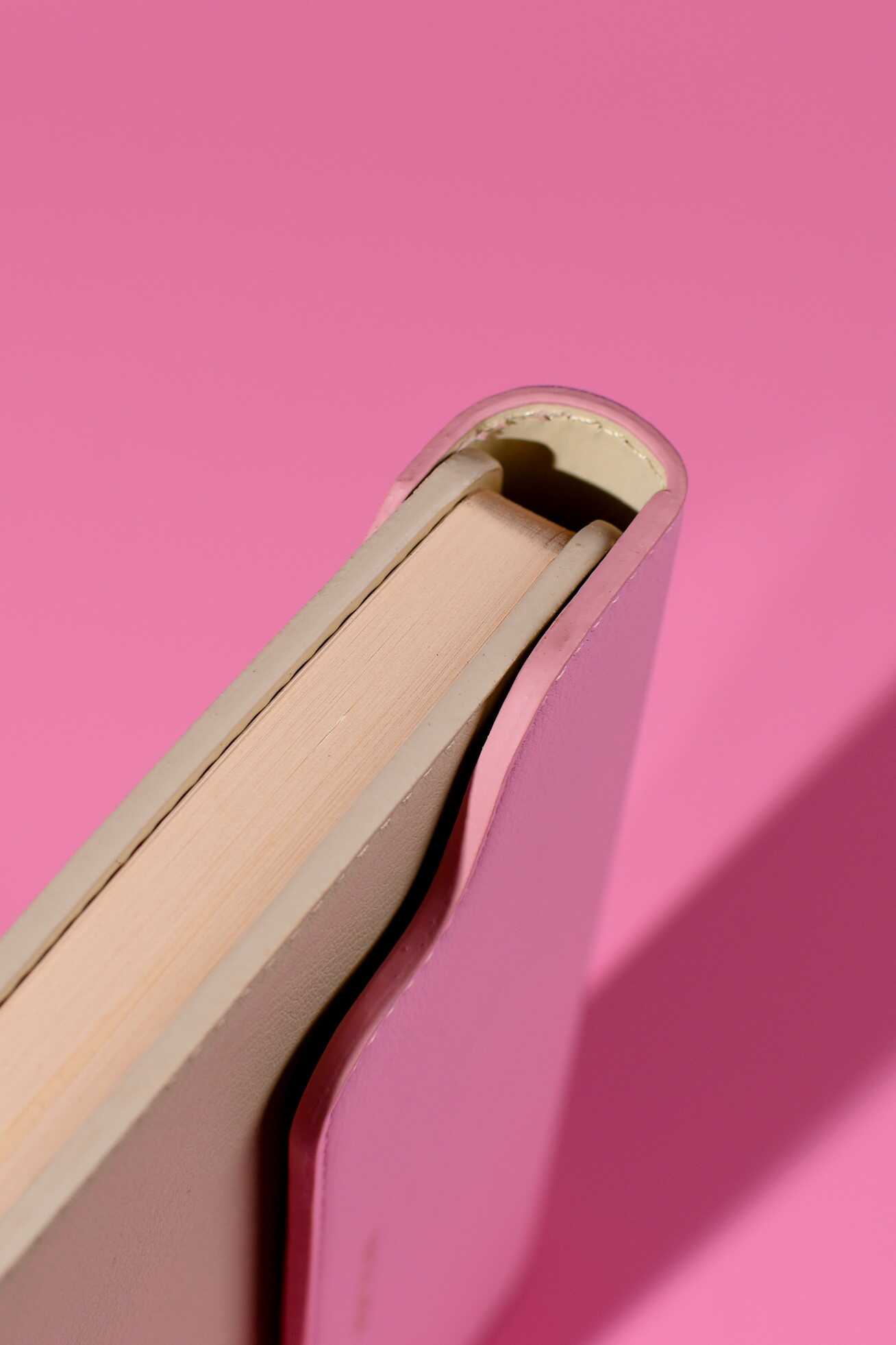 Ежедневник Феникс + ESCALADA 120 лист. - фото 10